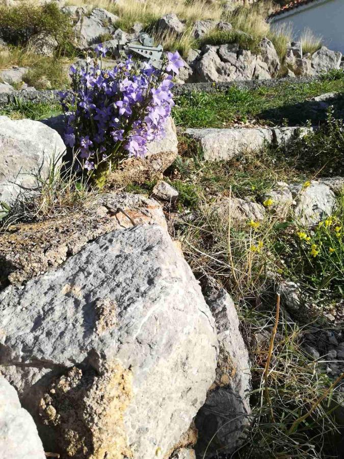 Vila Grosa Sveti Juraj Εξωτερικό φωτογραφία