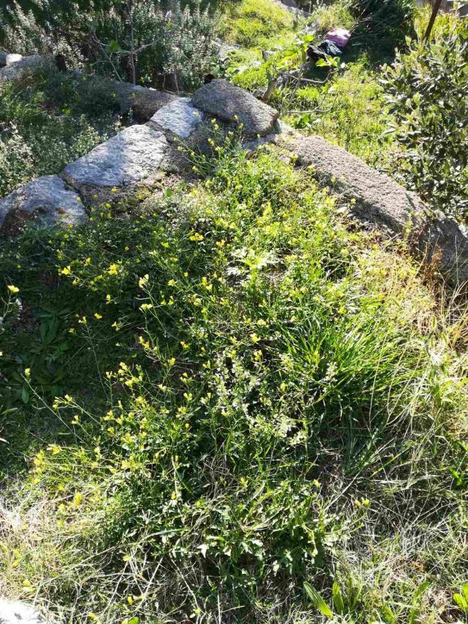 Vila Grosa Sveti Juraj Εξωτερικό φωτογραφία